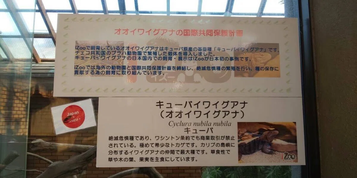 画像66