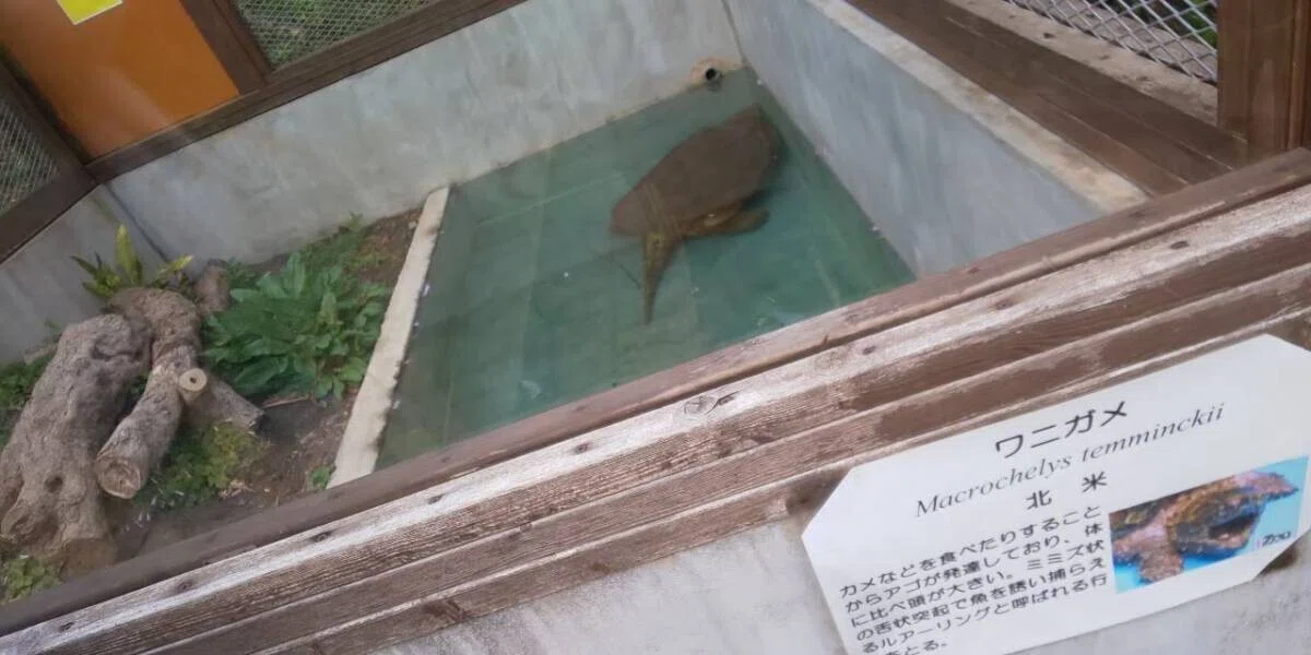 画像29