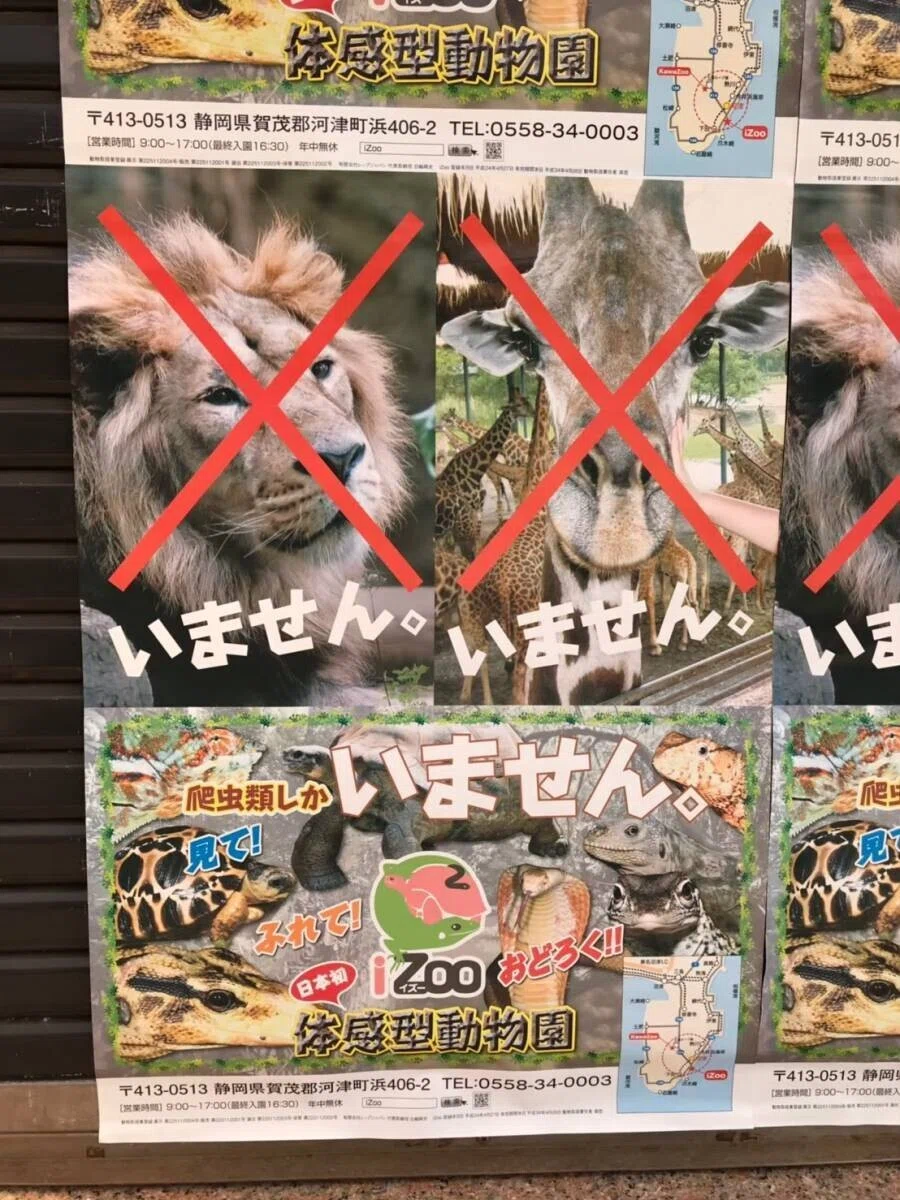画像7