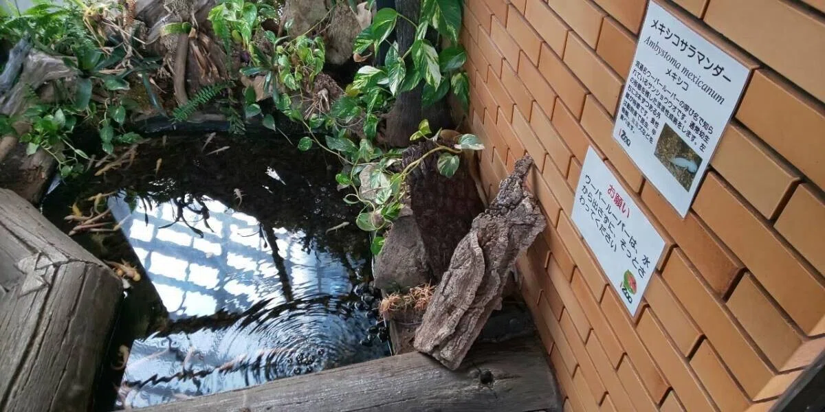 画像57