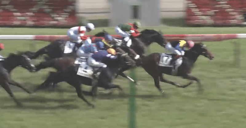 日本ダービーの栄光と泡沫なる末路 追悼 ワグネリアン 印度孔雀の雑記 Note