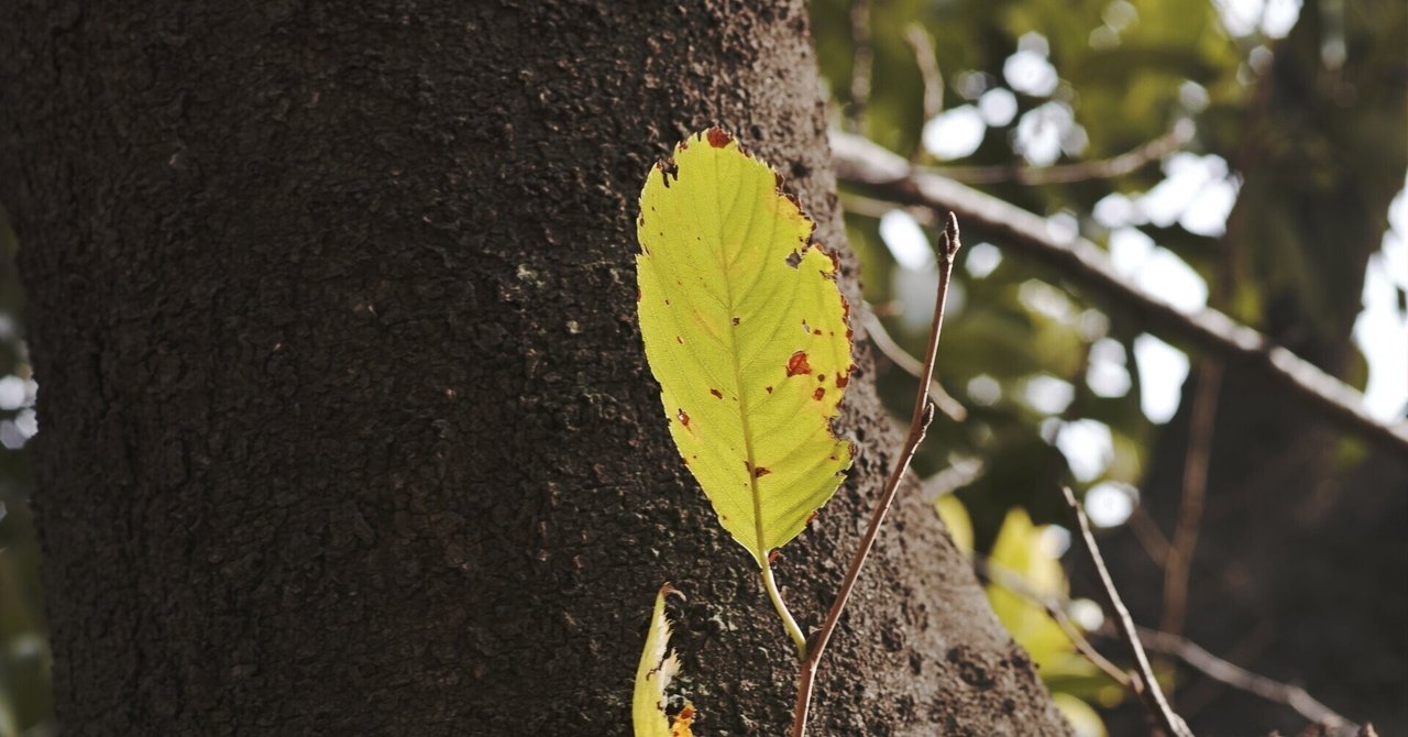 Chainlink keeperでいくら稼げるのか？｜richmanbtc