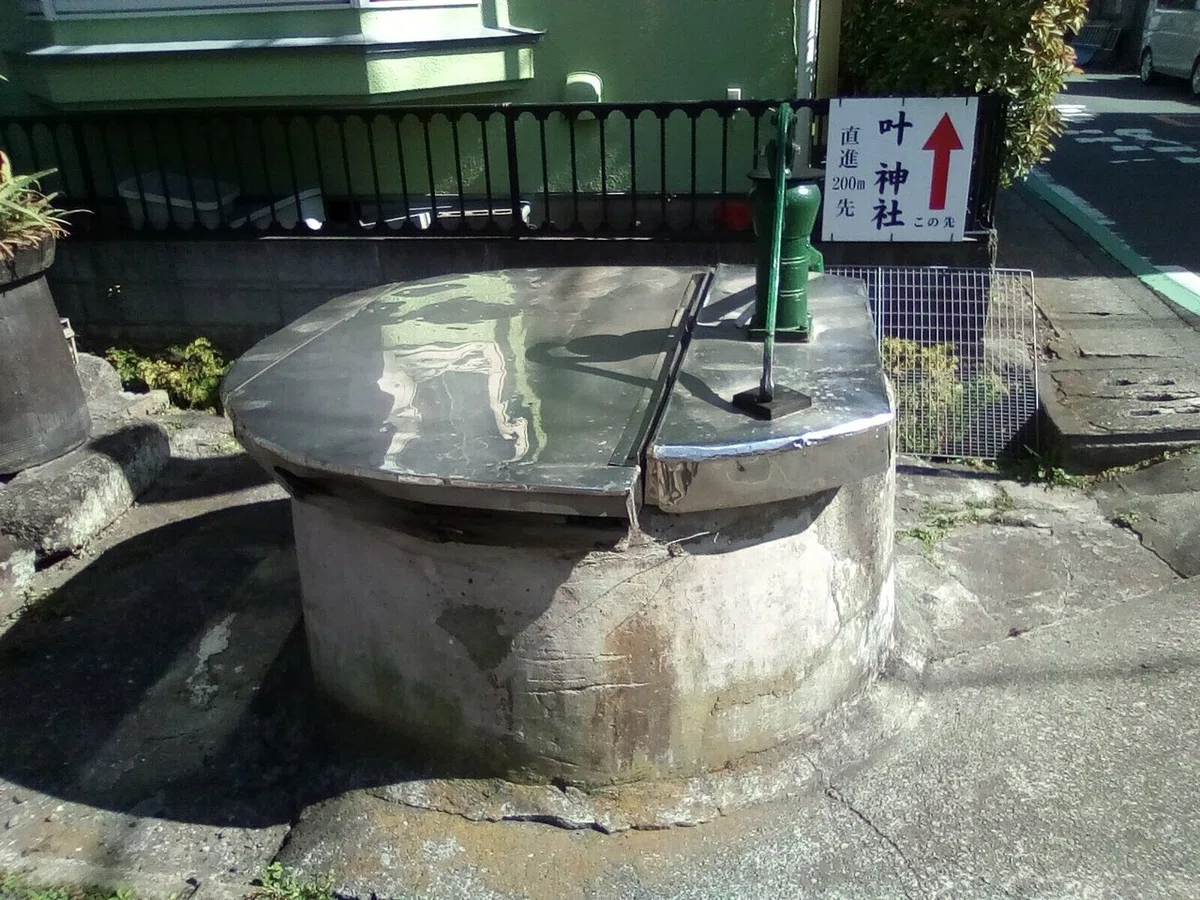 画像1