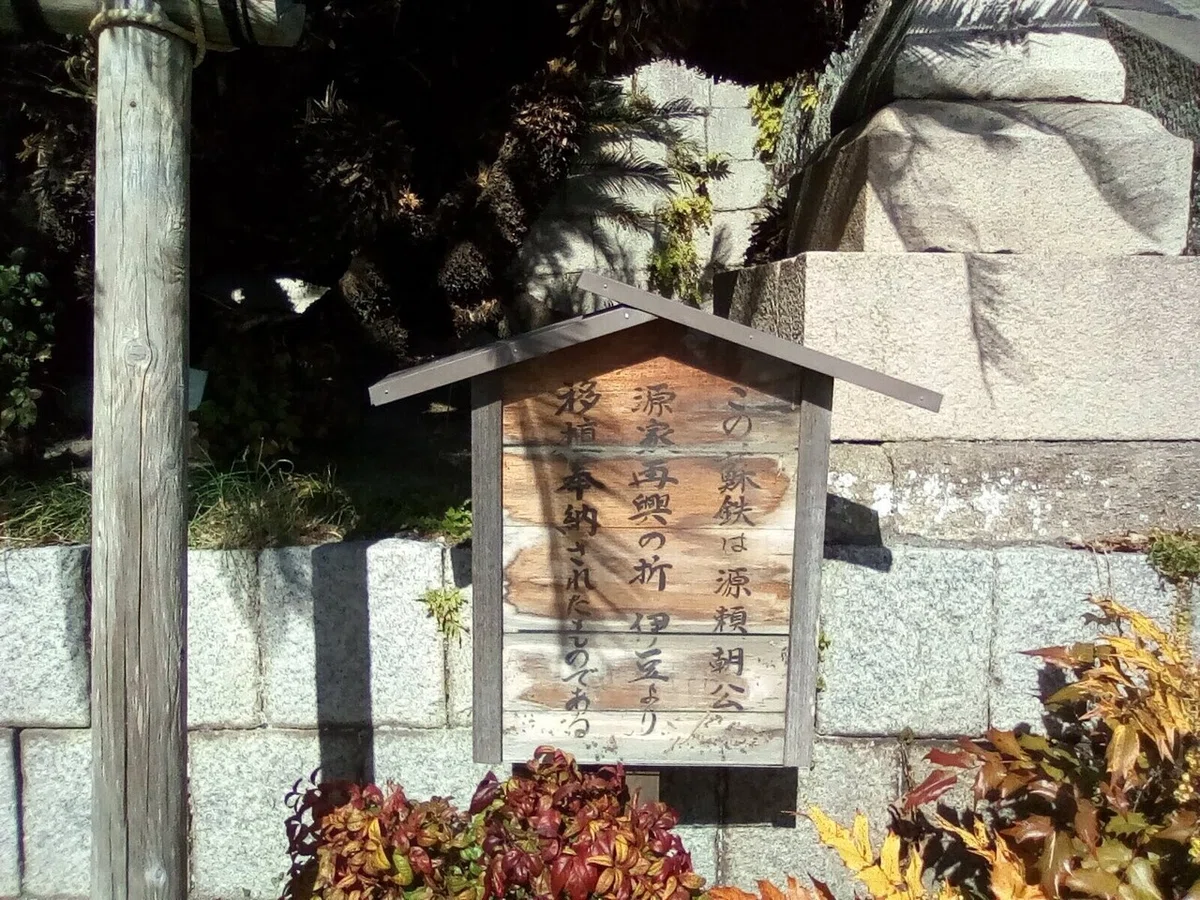画像6