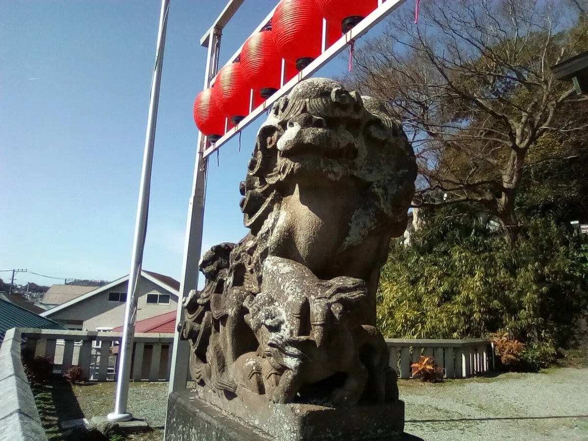 画像7