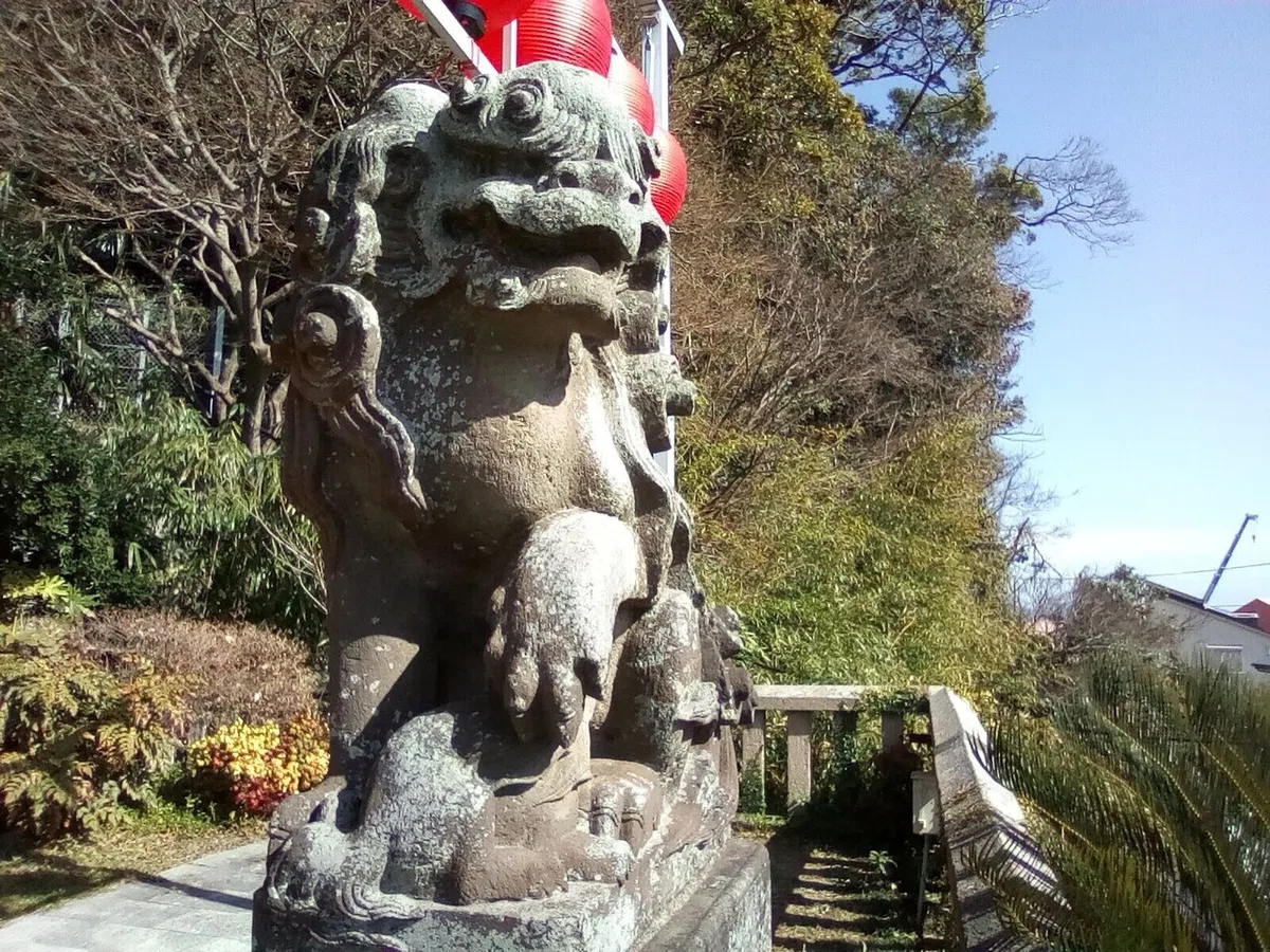画像8