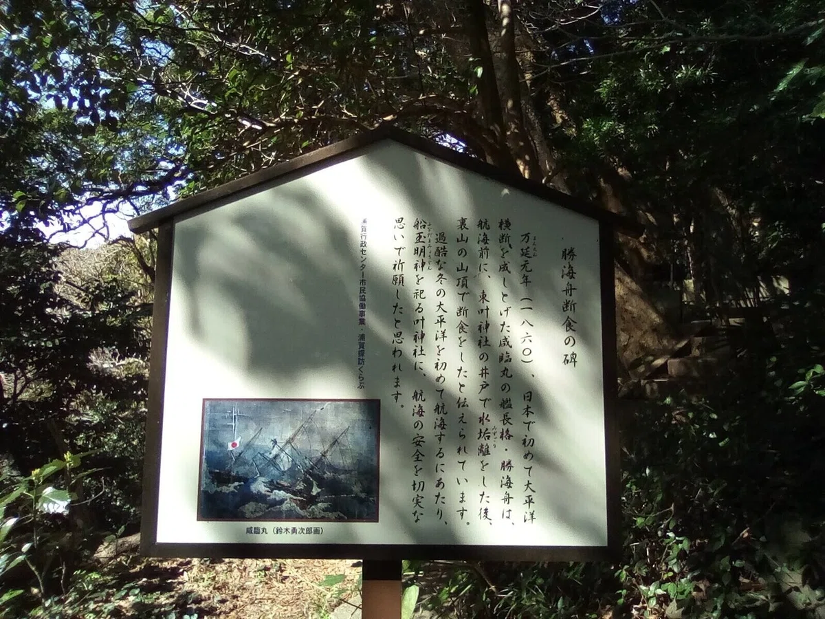 画像12
