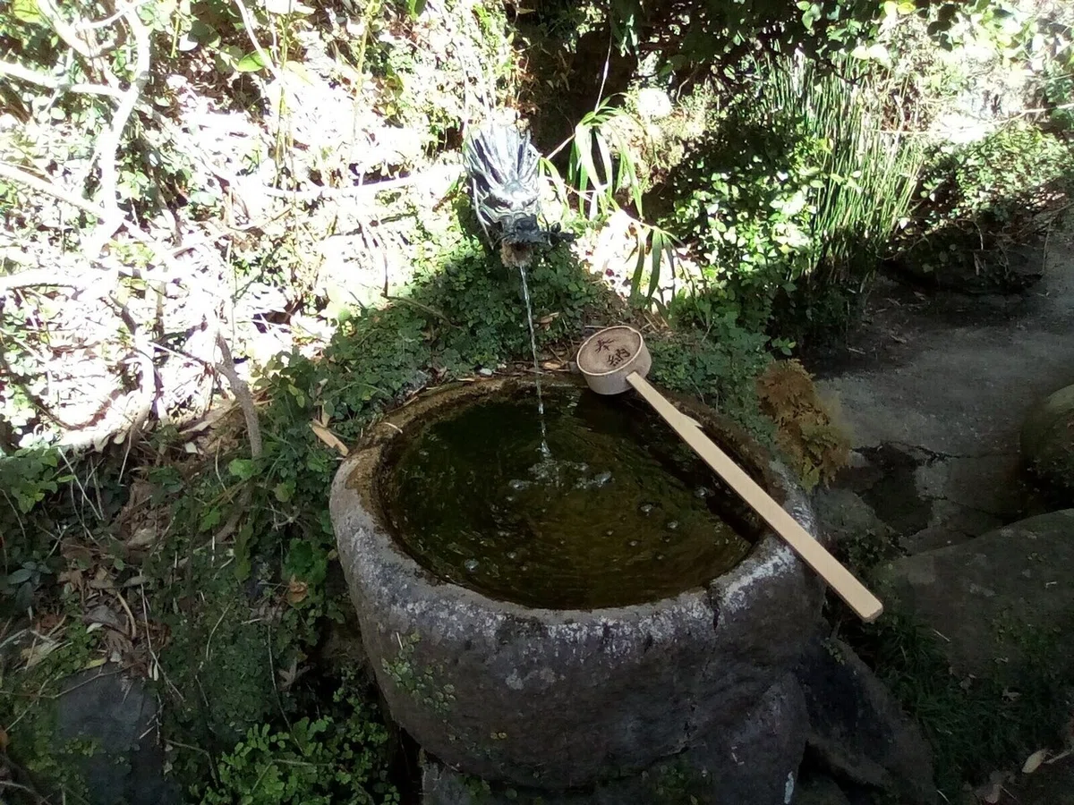 画像13