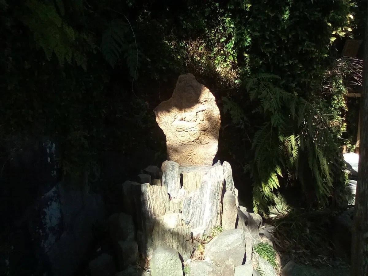 画像15