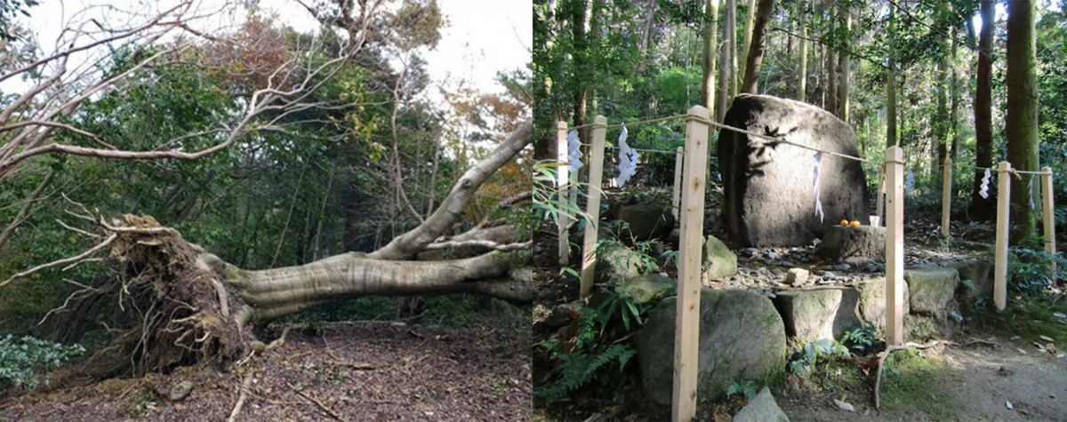 画像6
