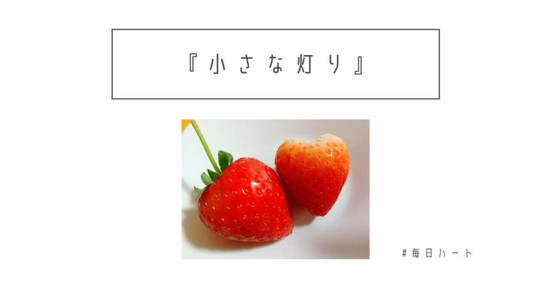 #note 写真 『小さな赤い灯り』#毎日ハート