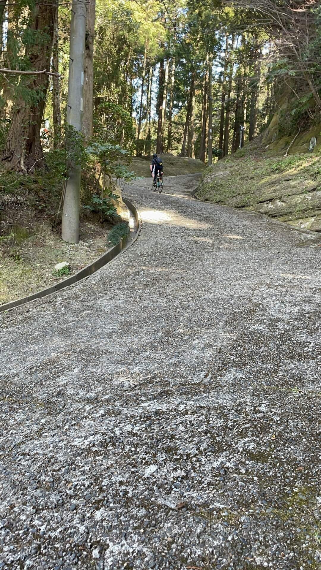 久々の200km超えライド〜激坂にグルメにフォトスポットを満喫の 久々の200km超えライド〜激坂にグルメにフォトスポットを満喫の