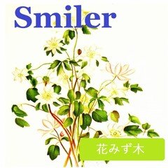 smiler_ダウンロード音源販売