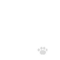 とりかへばや物語 を知っていますか たま Note