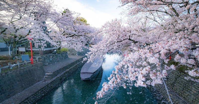 芭蕉ゆかりの大垣、川湊の桜と舟下り