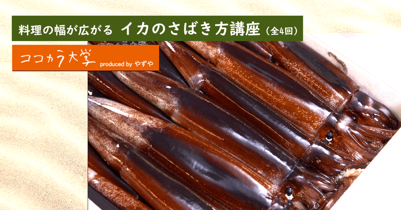 料理の幅が広がる イカのさばき方講座（全4回）｜ココカラ大学講師：鎌田 規広