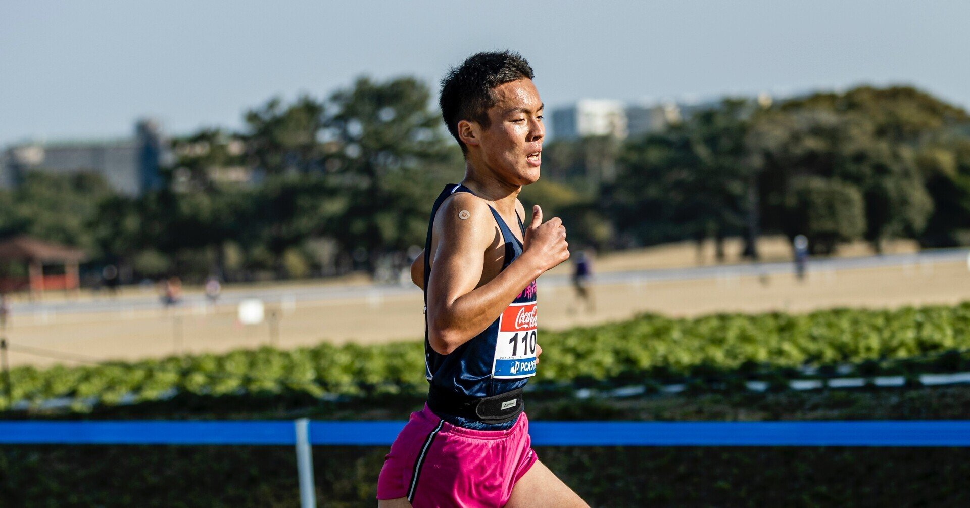 img_d1aeed8861792448094b61487d
