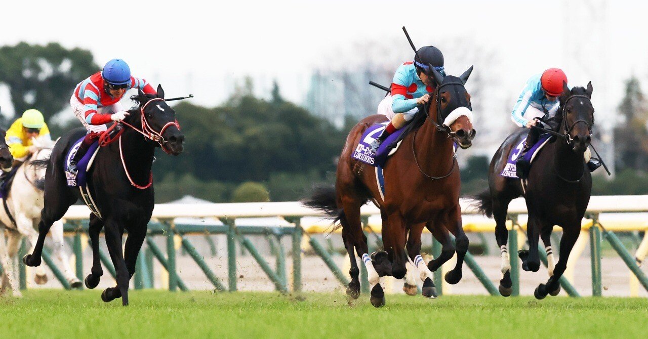 競馬 海外競馬って日本とどう違うの 日本から見た世界の競馬 マツウラ Note