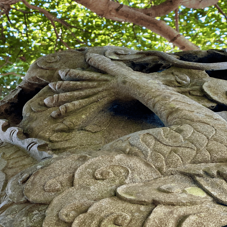 七つの爪を持つ龍光大神｜天野新大（あまのあらた）