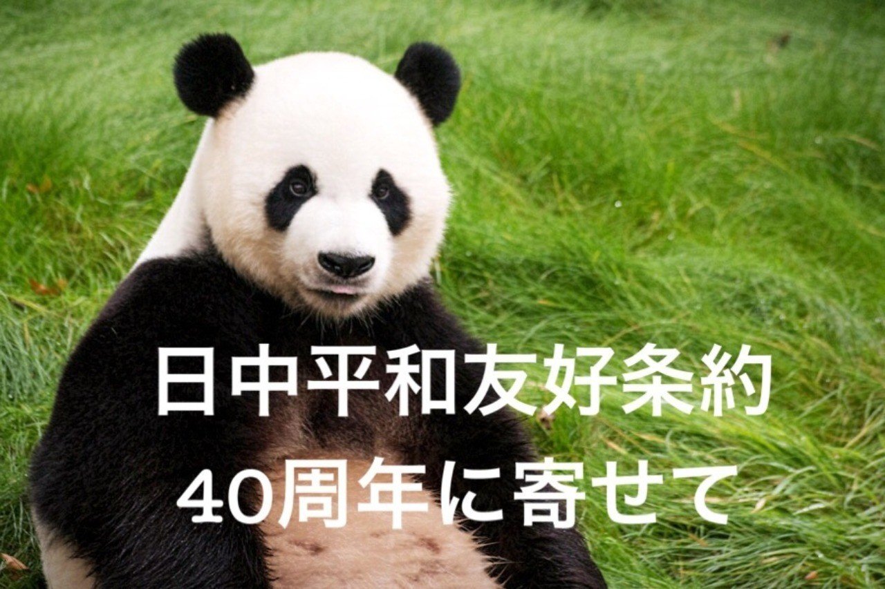 日中平和友好条約40周年に寄せて｜NPO法人 Mielka
