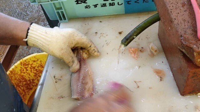 画像6