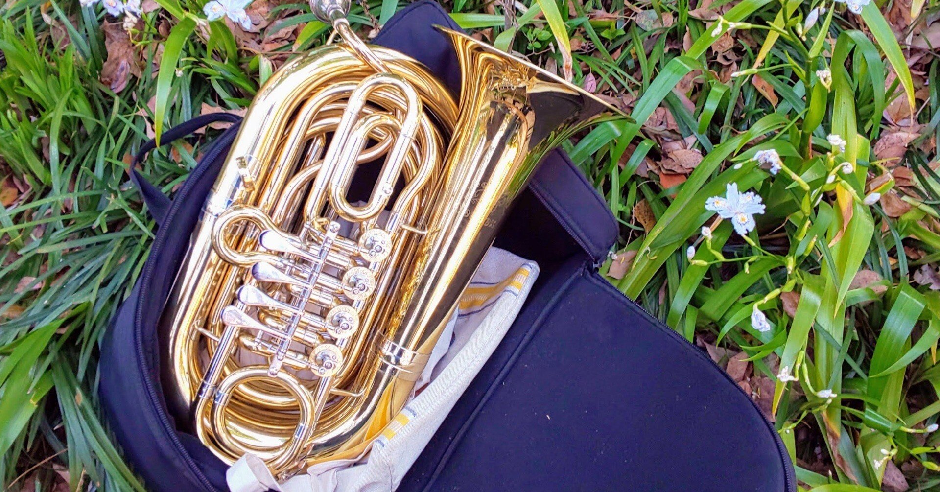 My Old Gear あれこれ(MNG前章)｜Daysuke Takaoka(blowbass)