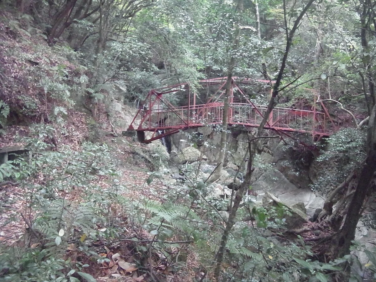 画像5