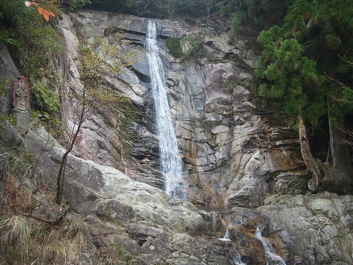 画像6