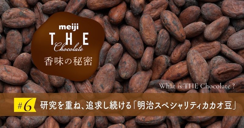 研究を重ね、追求し続ける「明治スペシャリティカカオ豆」──meiji THE Chocolateの香味の秘密 #6