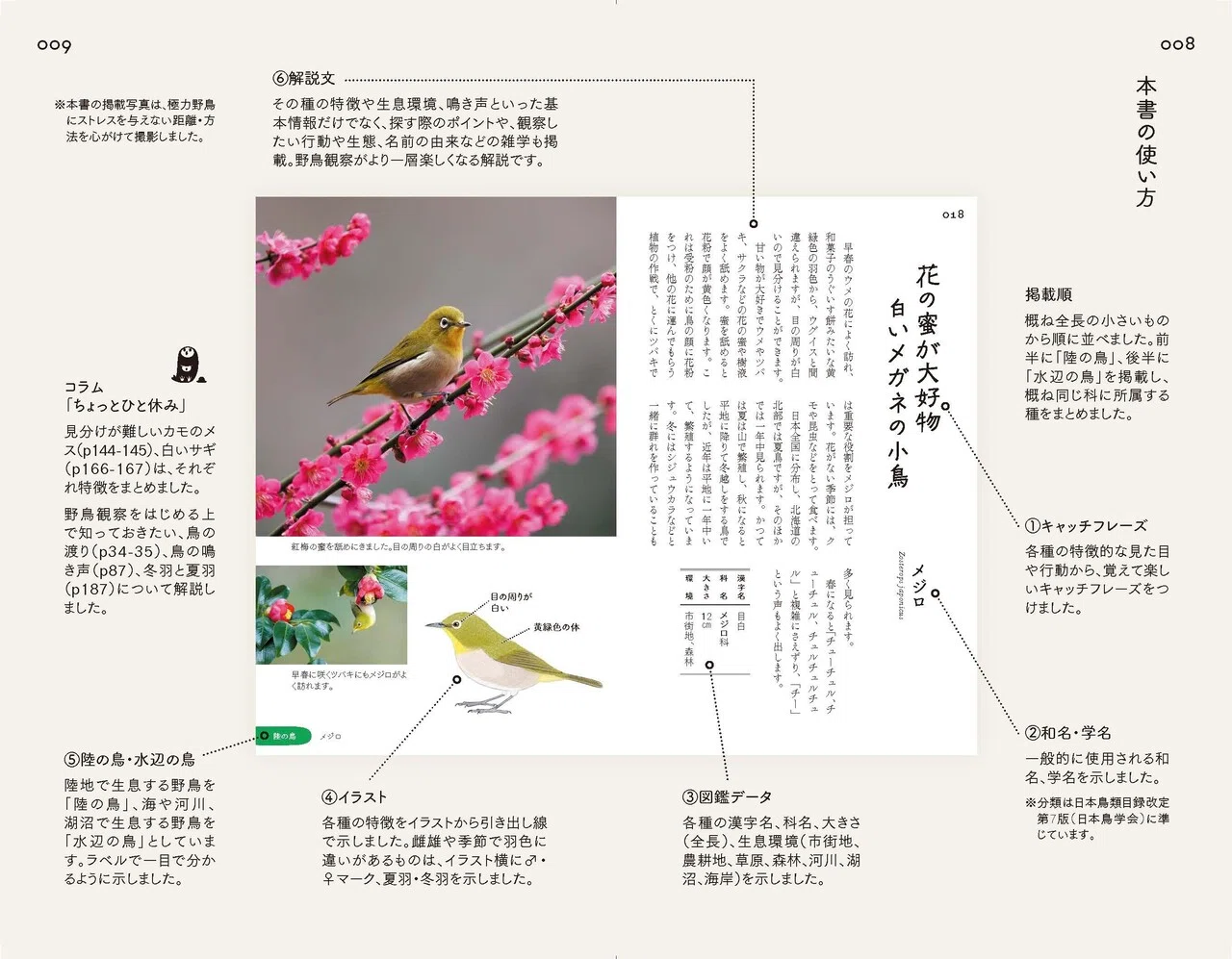 あしたの散歩が、今日よりもっと楽しくなる。いちばん身近な野鳥100種