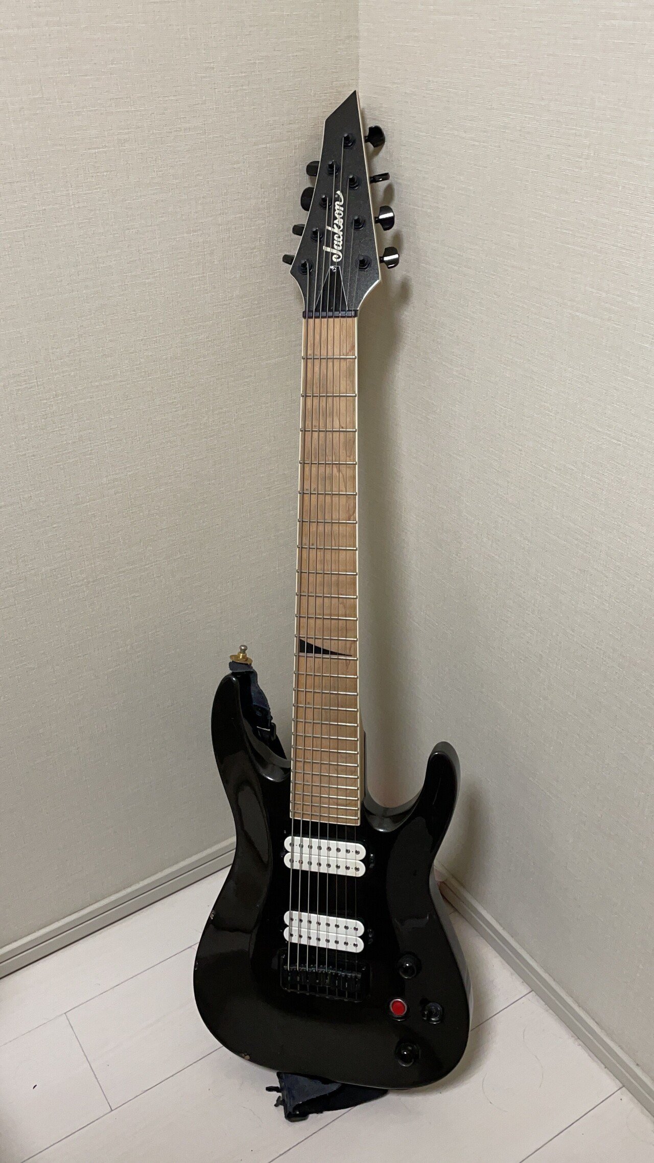 ギターオタクのコレクションアーカイブ ～ Jackson JS32-8 & DKA8