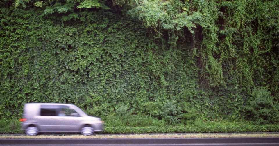 軽自動車の車検証を紛失 破損した場合の対処法 Whale Note