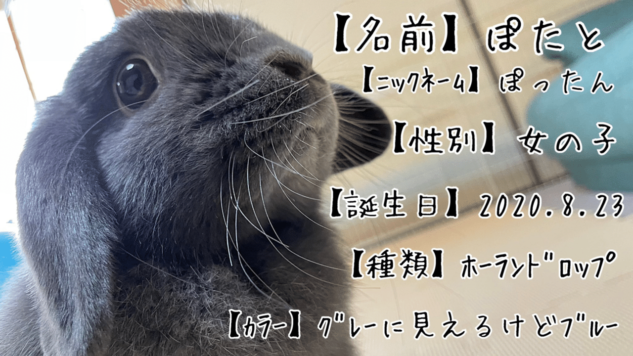 うさぎのキャラクターといえば げーらびーず Note うさぎのキャラクターといえば げーらびーず Note