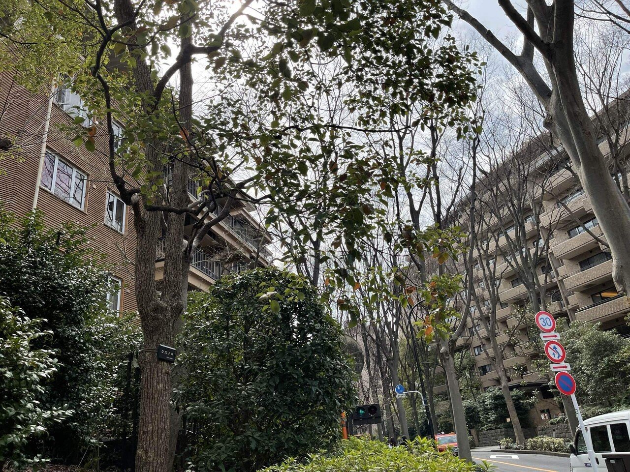 22 3 19 ミーハーツアー 芸能人タワーマンション ヤッキー Note