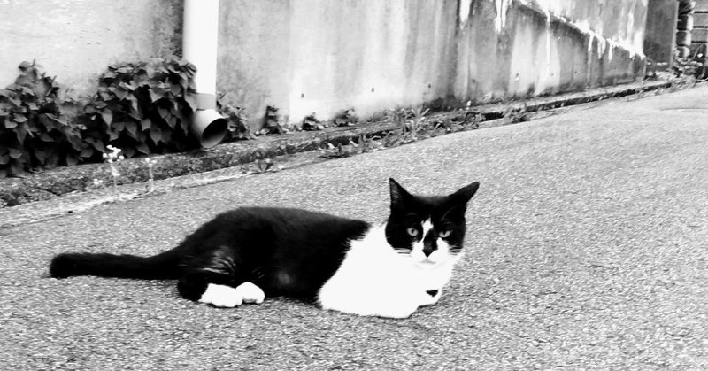 本当に頭がいい人とは 難しいことを易しく説明できる人だ って 本当 山野 靖博 ぷりっつさん note