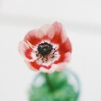 屋根裏