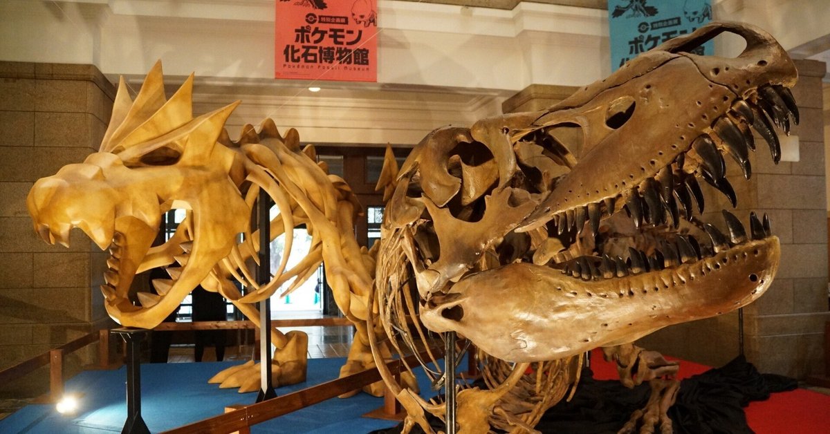 北海道 大きなアンモナイト 化石 / ポケモン 夏休み 自由研究 恐竜