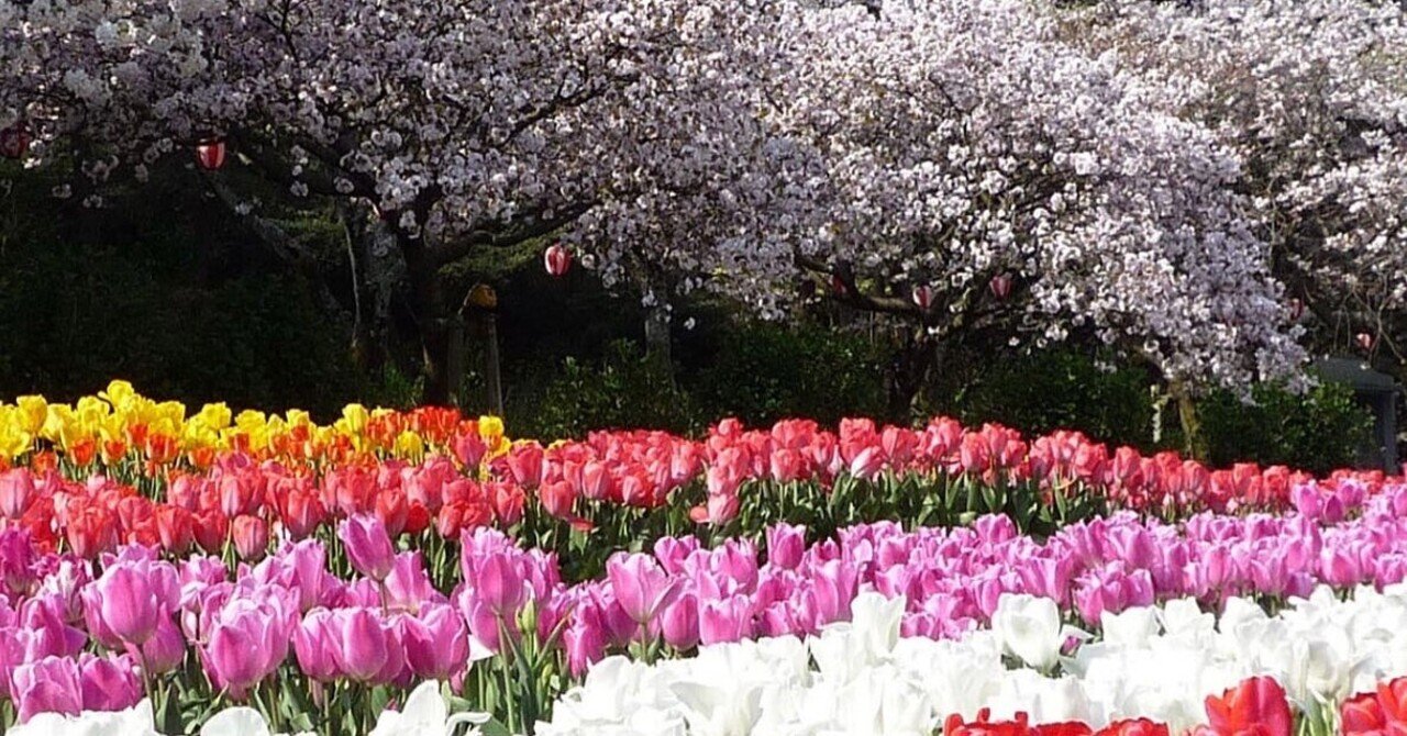 浜名湖花フェスタ 22開幕 いなばだいすけ Note