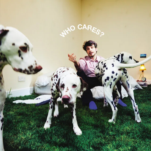 Rex Orange County パーカー L レックスオレンジカウンティ レビュー Rex Orange County 