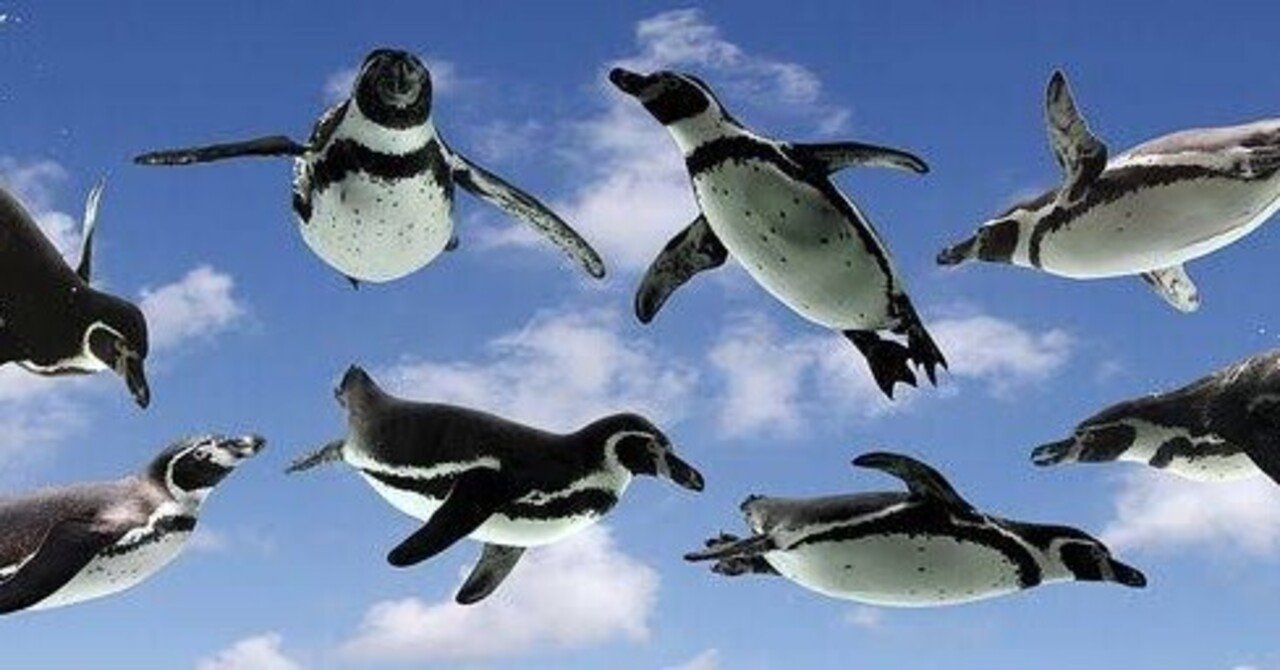 第1984回 空を飛ぶペンギン｜翆野 大地