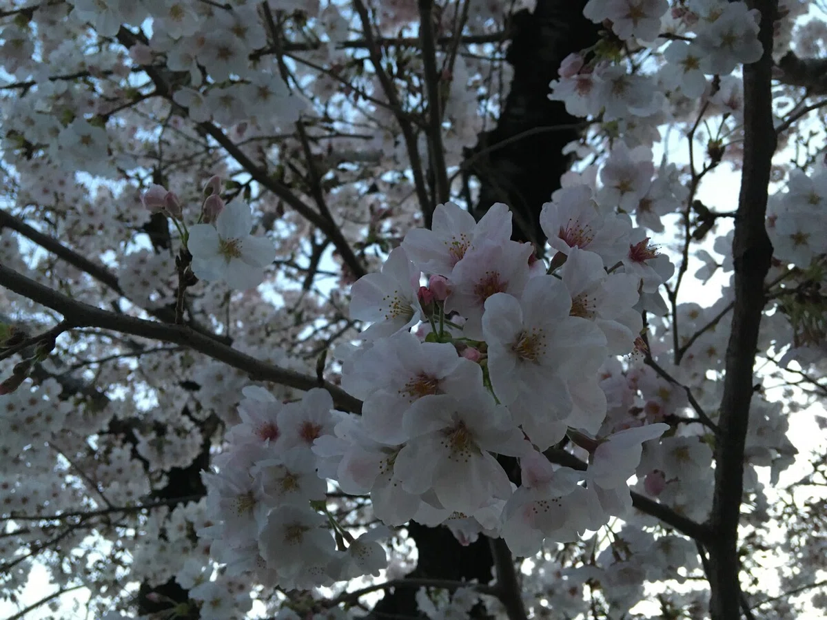 画像10