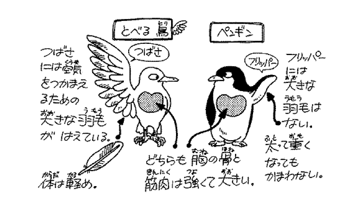 第1984回 空を飛ぶペンギン｜翆野 大地