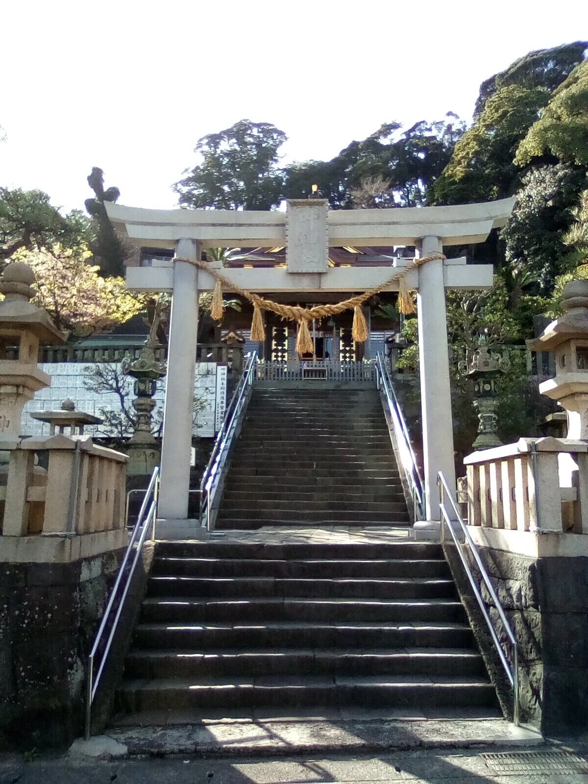 画像6