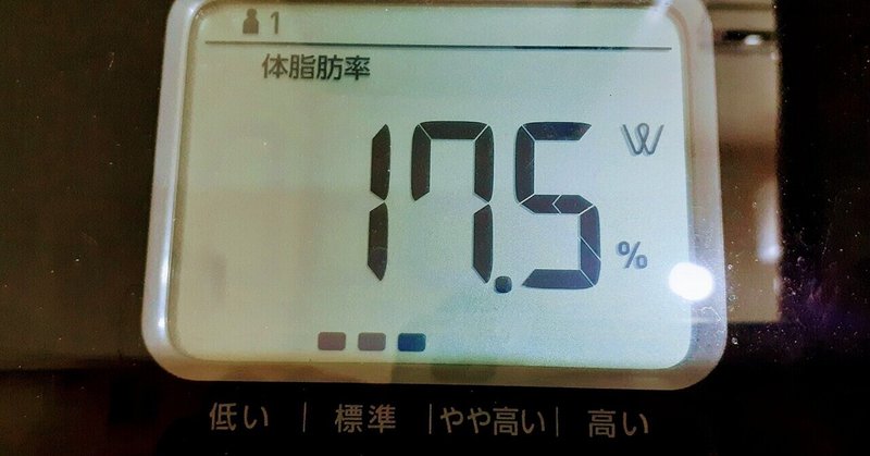 体脂肪率減への挑戦241日目。7つの法則を実践開始50日。仕事が忙しくて更新できてなかったけれど17%台キープ中。