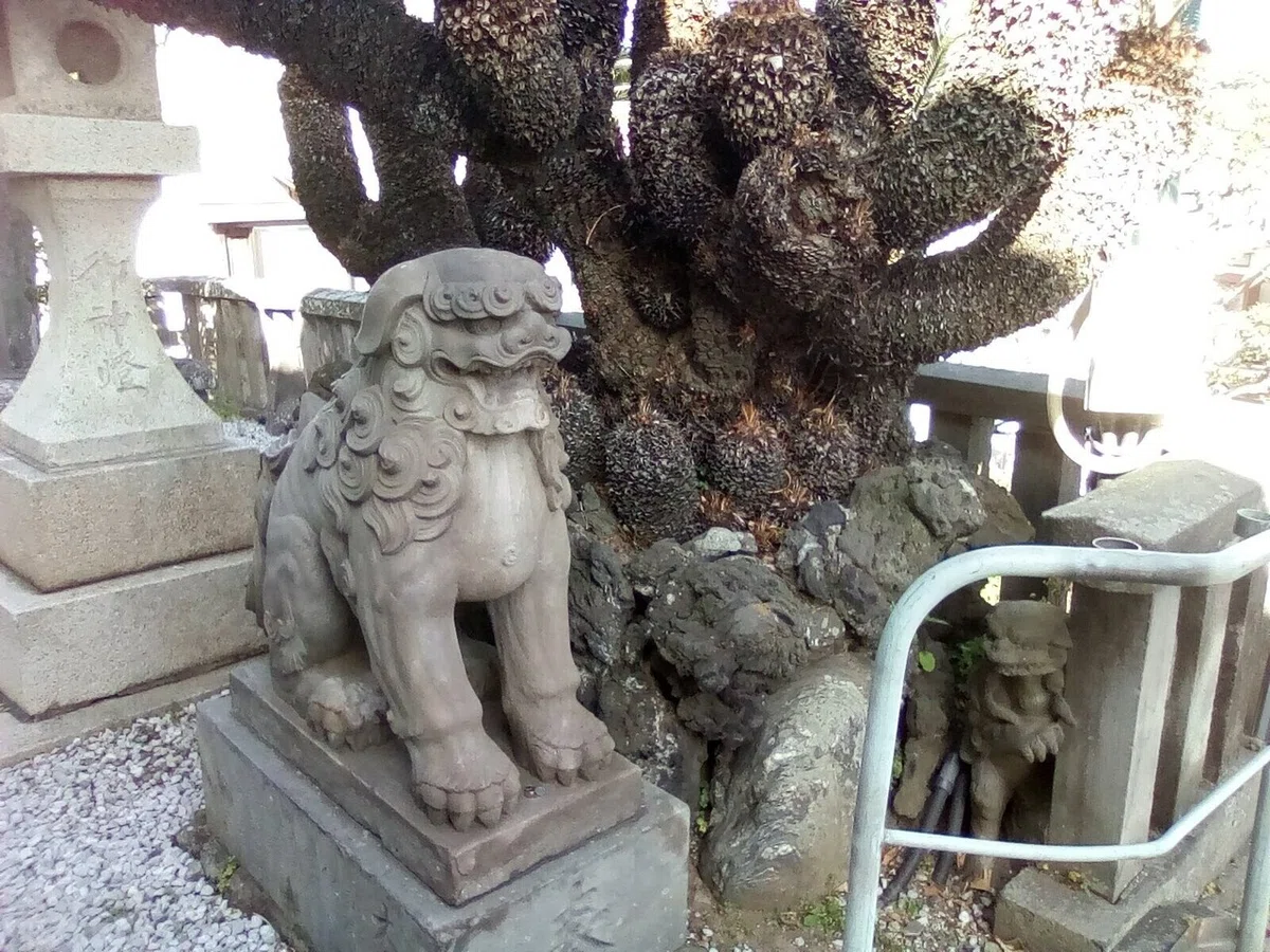 画像18