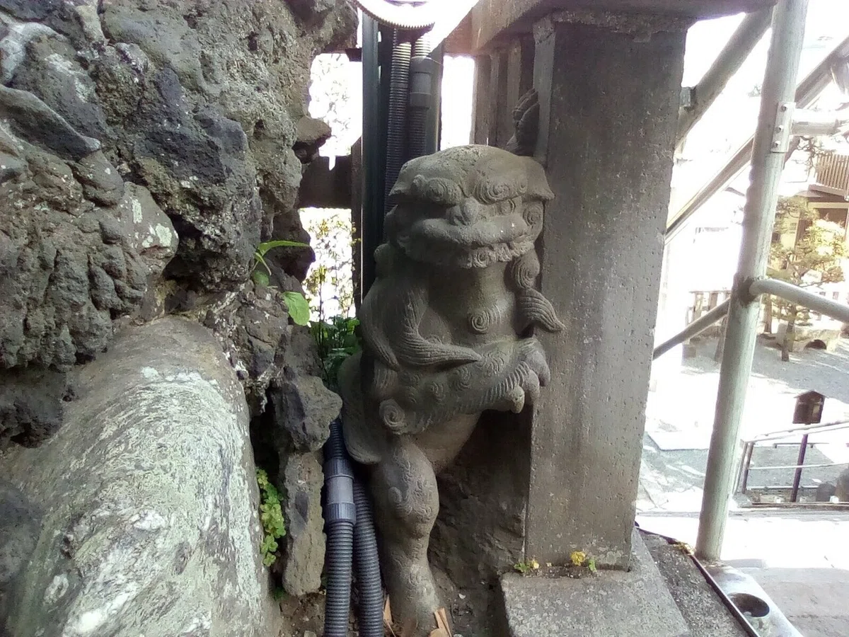 画像19