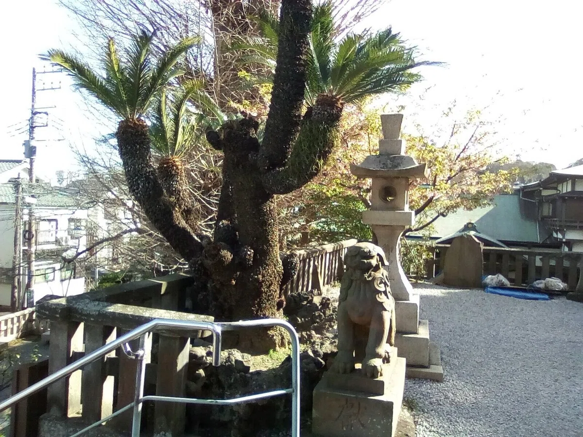 画像20