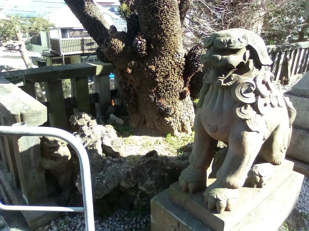 画像21