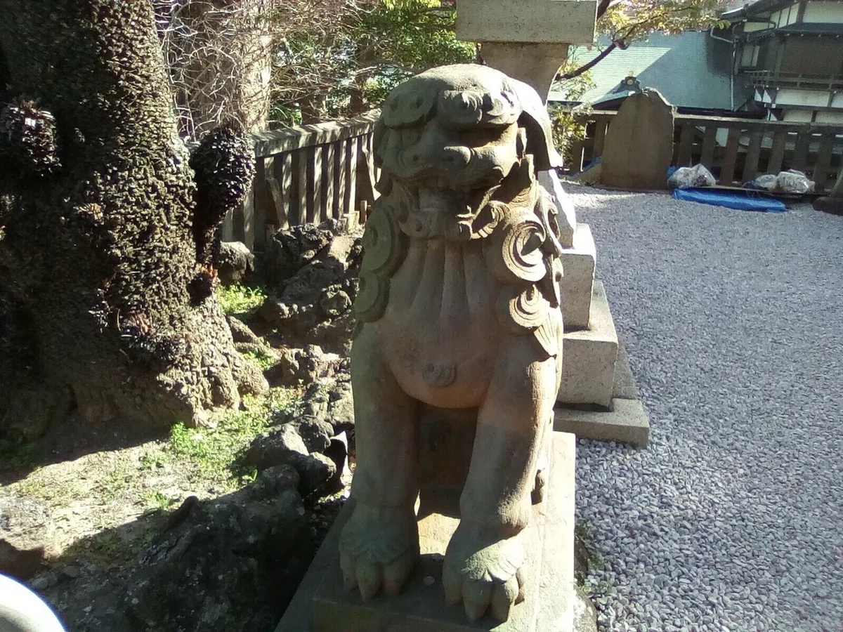 画像23