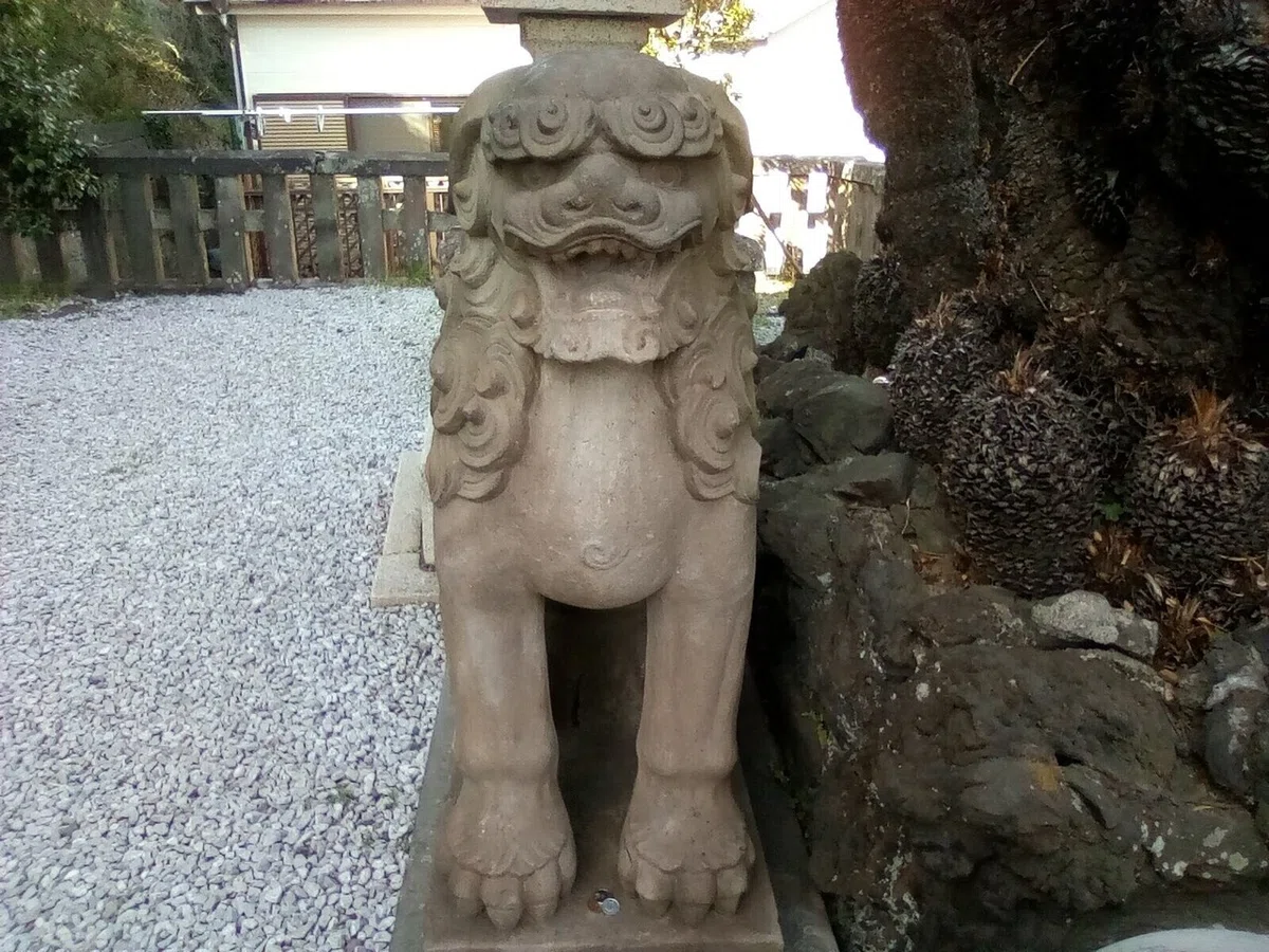 画像25